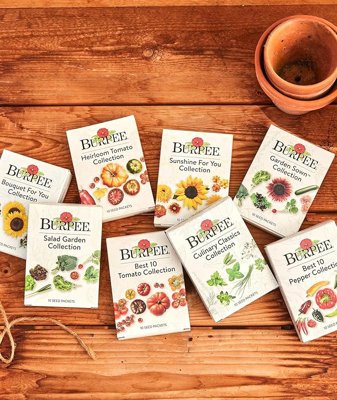 Burpee Salad Garden Collection 10 Packets of Non-GMO 4 Lettuce Varieties Tomato, Radish, Spinach, Kale, Scallions & Mesclun Mix | Seeds for Planting Vegetables