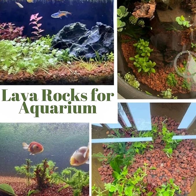 7LB Red Lava Rocks for Plants, Volcanic Rock Horticultural Lava Rock Soil for Landscaping Plants Drainage, Small Lava Rock Gravel for Succulents, Bonsai, Vase Fillers, Terrarium Plants, Top Dressing