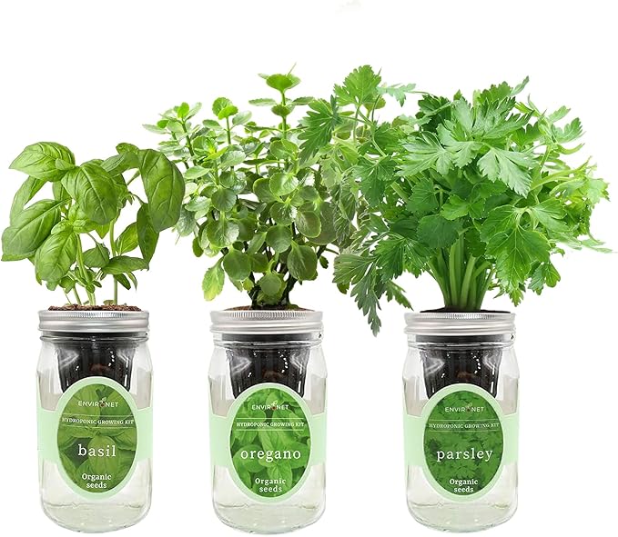 Hydroponic Herb Growing Kit Set, Self-Watering Mason Jar Herb Garden Starter Kit Indoor, Window Herbs Garden, Grow Your Own Plants from Organic Seeds (Basil, Parsley and Oregano)