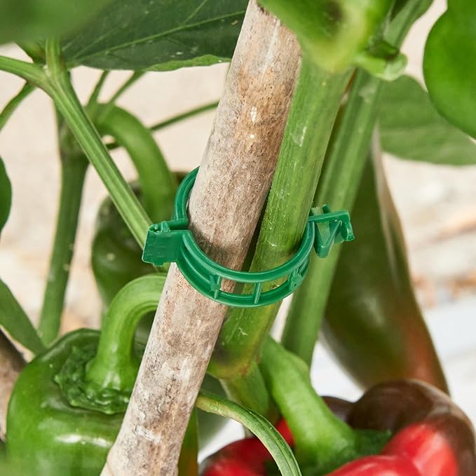 300 Pcs Plant Support Clips,Plastic Clips for Securing Plants,Tomato Vine Clips,Plant Fixing Clips,Garden Clips for Climbing Plants,Grape and Vine Vegetables (300, Green)