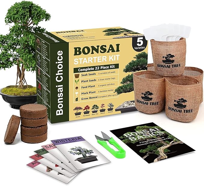 Indoor Starter Kit with Complete Planting Tools, Gardening DIY Gift for Plant Lovers