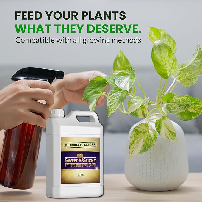 Humboldts Secret Sweet & Sticky Carbohydrate and Saccharide Plant Energy Additive | Indoor and Outdoor Plant Nutrients Enhancer for Growth and Aroma | Boosts Flavor and Resin Development | 32 Ounce