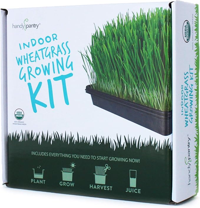 Organic Wheatgrass Growing Starter Kit - Grow & Juice Wheat Grass - Includes Non-GMO, Organic Wheatgrass Seeds - for Healthy Wheatgrass Shots, Home, Garden, and Cat Grass
