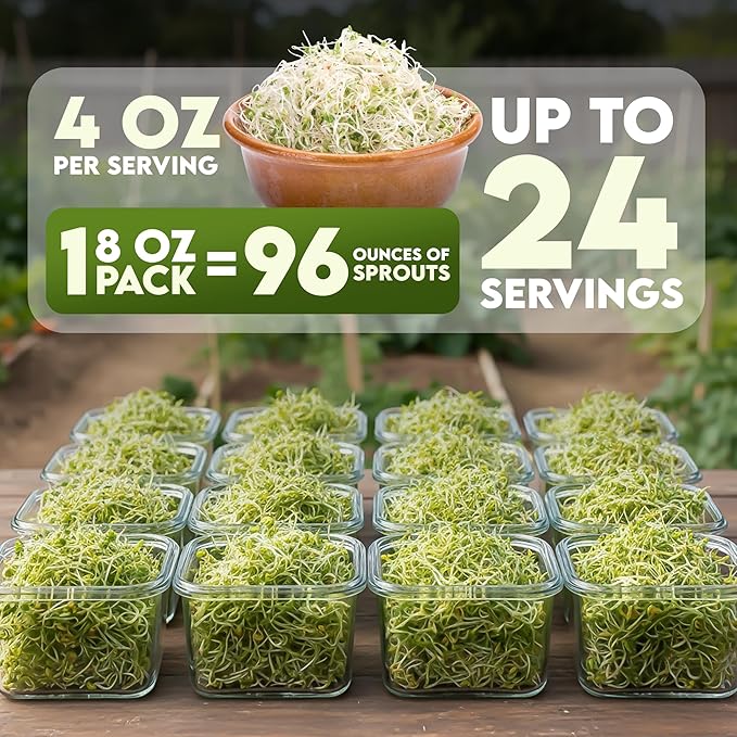 Nature Jims Sprouts Organic Broccoli Seeds for Sprouting – Certified Non-GMO, Rich in Sulforaphane, Swift-Growing Microgreen Seeds for Nutritious Broccoli Sprouts – Ideal for Indoor/Outdoor Use – 8oz
