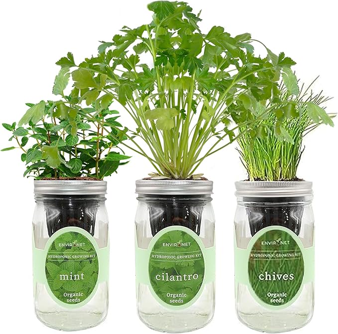 Hydroponic Herb Growing Kit Set, Self-Watering Mason Jar Herb Garden Starter Kit Indoor, Grow Your Own Herbs from Seeds (Cilantro, Mint & Chives)