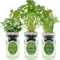 Hydroponic Herb Growing Kit Set, Self-Watering Mason Jar Herb Garden Starter Kit Indoor, Grow Your Own Herbs from Seeds (Cilantro, Mint & Chives)