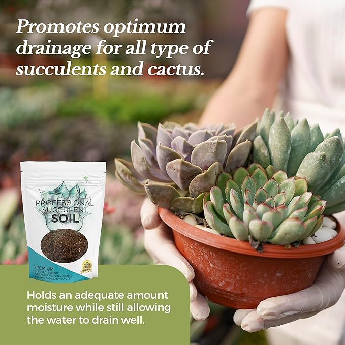 Succulent Soil Premium All Purpose Blend | Large 2.2 Quarts | Pre-Mixed Ready to Use for Cactus and Succulents | Canadian Peat, Course Sand, Pinebark | Made in USA