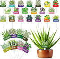 20 Pcs Acrylic Vegetables Plant Label Signs 20 Style Plant Stake Tags with Names Waterproof Herb Garden Markers Reusable Labels Markers for Seedlings Nursery Garden Succulent Flowers Greenery