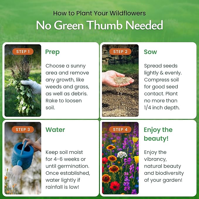 Created By Nature Washington Wildflower Seed Mix, 20 Flower Varieties, 60,000+ Seeds