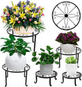 5 packs Rustproof Metal Plant Stands for Multiple Plant, Heavy Duty Plants Holder Outdoor Indoor, Round Wrought Iron Flower Planter Pot Stand, Corner Gardening Pumpkin Stand Black