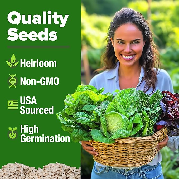 HOME GROWN 5 Lettuce Seed Pack – 3950 Heirloom Vegetable Seeds for Indoor, Outdoor, or Hydroponic Growing – Black Seeded Simpson, Red Romaine, Bibb, Buttercrunch, Iceberg Varieties (Lactuca Sativa)
