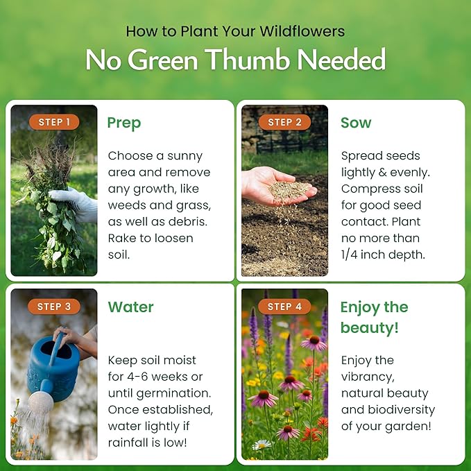 Created By Nature Tennessee Wildflower Seed Mix, 18 Flower Varieties, 35,000 Seeds