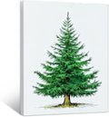 Framed Christmas Pictures Wall Decor,Vintage Pine Tree Prints,Winter Christmas Canvas Wall Art Decoration for Bedroom Bathroom Living Room Rustic Xmas Holiday Gifts (Christmas Tree 6, 16'' X 24'')