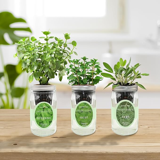 Hydroponic Herb Growing Kit Set, Self-Watering Mason Jar Herb Garden Starter Kit Indoor, Windowsill Herbs Garden. Grow Your Own Herbs from Organic Seeds (Mint, Sage, Oregano)