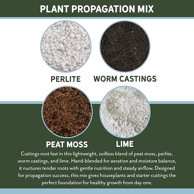 Planting Mix for Plant Propagation (4 Quarts), Hand Blended Soilless Mix for Propagating Plants, House Plants, and More