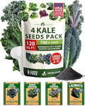HOME GROWN Heirloom Vegetable Seeds Vegetable Seeds for Planting Home Garden, Beans, Carrots, Peppers, Cucumber, Kale, Pepper Seeds, Tomato (4 Kale)