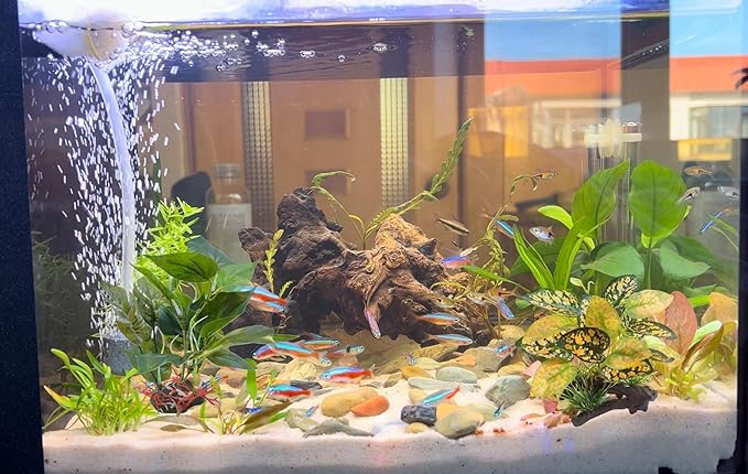 M2cbridge Artificial Fish Tank Plants Aquarium Plastic Plant Aquatic Water Grass Foreground Decor (2PCS Plastic Plants)