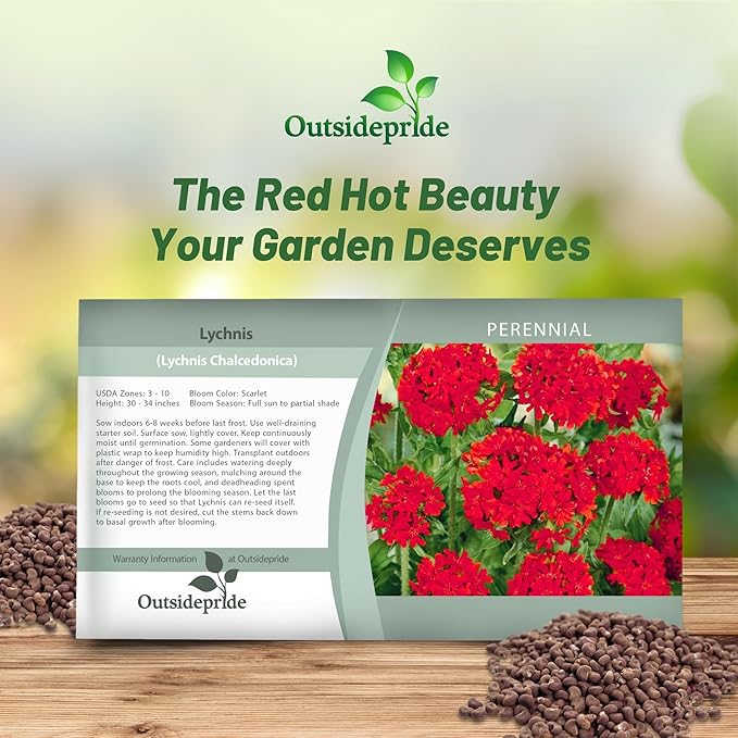 Outsidepride Chalcedonica Lychnis Seeds - 10000 Pcs Perennial Flower Seeds with Long Blooming Season & Attractive to Pollinators, Easy to Propagate for Borders, Containers, or Cottage Gardens