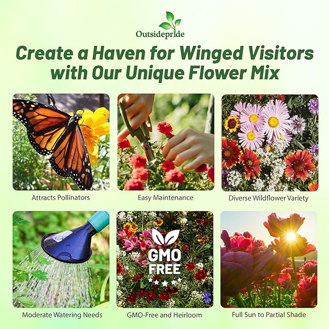 Outsidepride Birds & Butterfly Wild Flower Seed Mix - 1/4 Lb. Premium Blend of Annual & Perennial Wildflower Seeds for Attracting Songbirds, Hummingbirds, & Butterflies