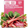 KVITER 50 Red Victoria Rhubarb Seeds for Planting (Rheum Rhabarbarum) – Organic & Heirloom Seeds, Perennial Vegetable Seeds – Perfect for Rhubarb Jam & Pies, Grow in Beds & Outdoor Garden