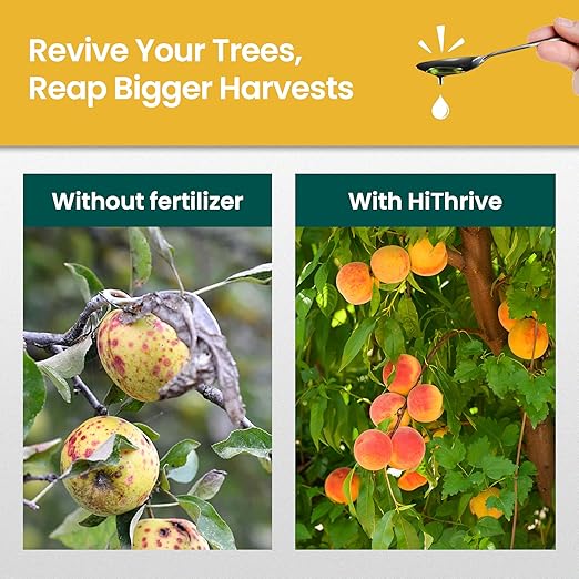 16oz Fruit Tree Fertilizer - Makes 16 Gallons of Fruit Tree Spray Plant Fertilizer for Blueberries, Strawberry Plant, Apple & More - Promotes Vibrant Foliage, Strong Branches, and Abundant Harvests