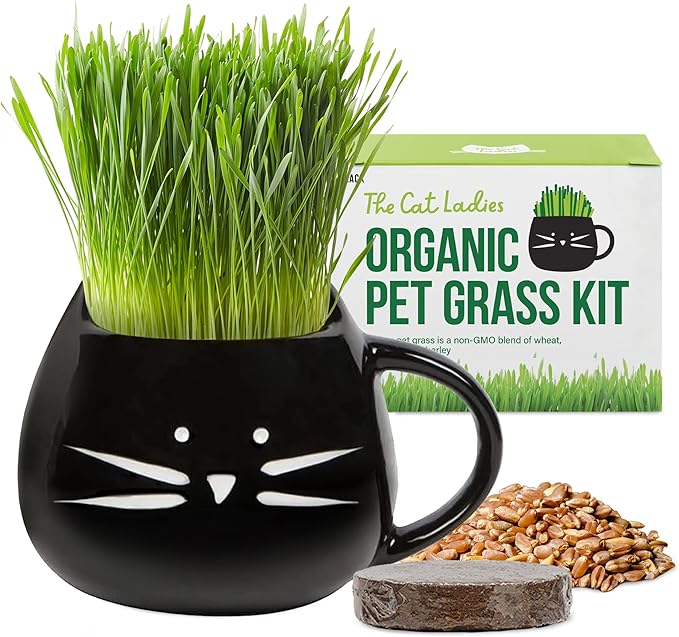 The Cat Ladies Organic Cat Grass for Indoor Cats - Growing Kit with Organic Seed Mix, Soil and Black Cat Planter. Natural Hairball Control and Digestion Remedy, Cat Gifts