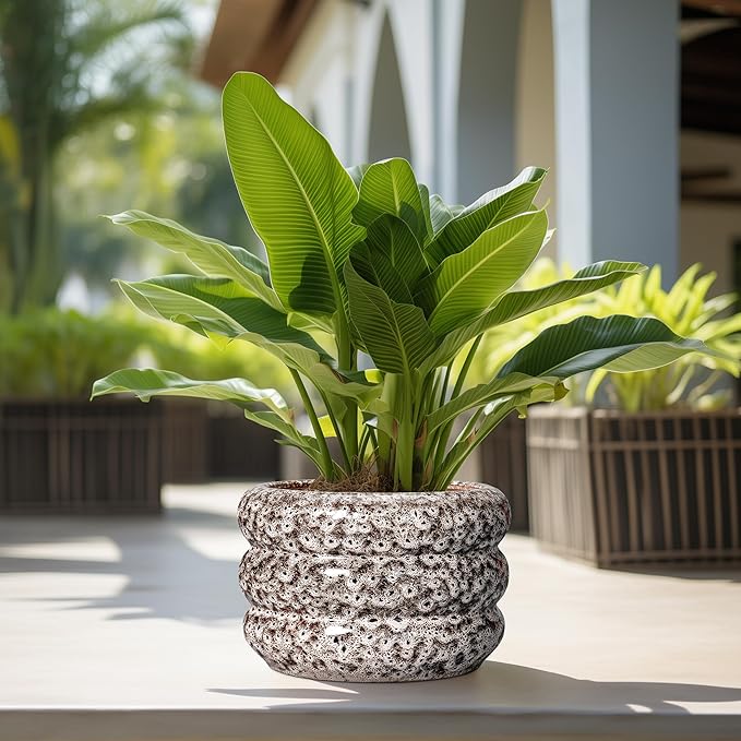 SQOWL Ceramic Flower Pots - 13.5 Inch Plant Pot with Drainage Hole, Large Ceramic Planter for Indoor Plants, Round Modern Planter Outdoor, Porch Home House Decor, Plant Lover Gifts, White