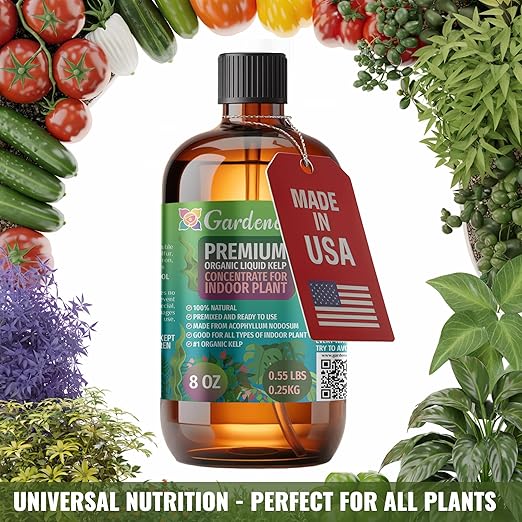 GARDENERA Premium Organic Seaweed & Kelp Superfood for CALATHEA Plants - 32 oz - Liquid Kelp Fertilizer Concentrate (Makes 180 Gallons)