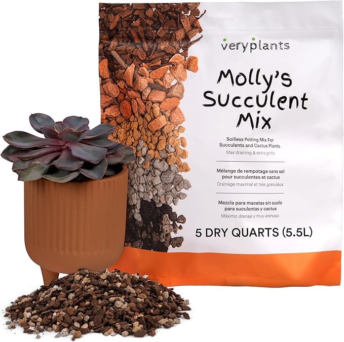 Molly's Succulent Mix - Premium Gritty Soilless Potting Mix for Succulents, Cactus and Bonsai - Contains Akadama, Hyuga, Bark Fines, Pumice, Lava Rock, Mycorrhizae 5 Dry Quarts