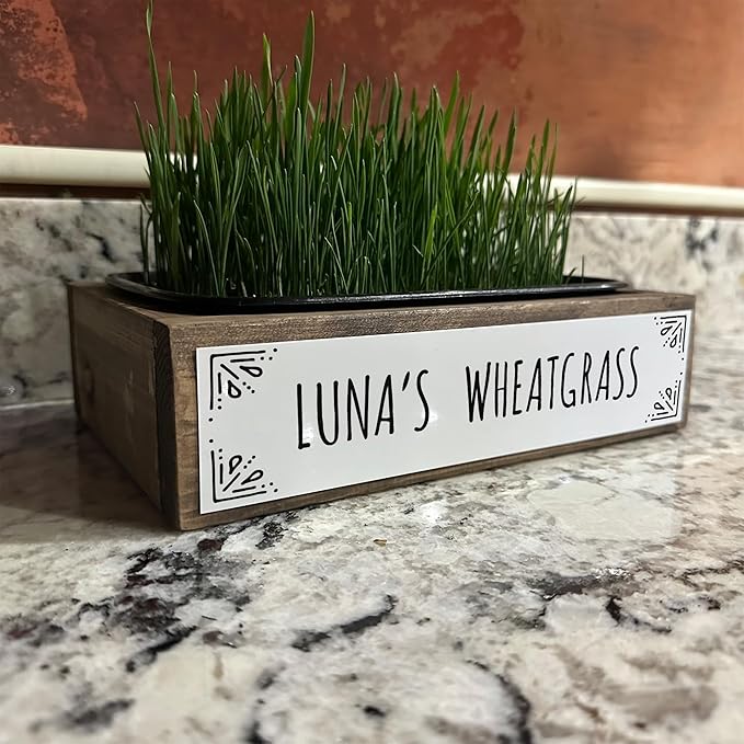 Whetagrass Kits (Wheatgrass Grow Kit - Custom Box)