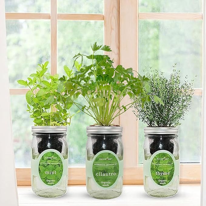 Hydroponic Growing Kit Set, Self-Watering Mason Jar Herb Garden Starter Kit Indoor, Window Herb Garden, Grow Your Own Herbs from Organic Seeds (Mint, Cilantro and Thyme)