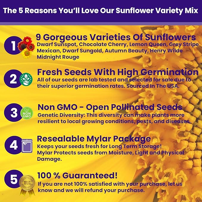NatureZ Edge 1300+ Sunflower Seeds Garden Variety Pack, Bulk Sunflower Seeds for Planting Flowers, Get More Sunflower Seeds to Plant, Mammoth, Dwarf, Lemon Queen, Giant and More. 2oz Packet