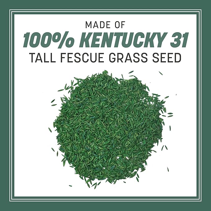 Pennington Kentucky 31 Tall Fescue Penkoted Grass Seed 40 lbs