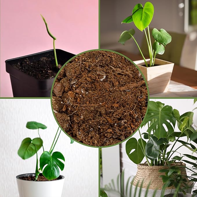 Soil Sunrise Monstera Houseplant Potting Soil Mix (30 Quarts) Custom Blend for Growing and Repotting