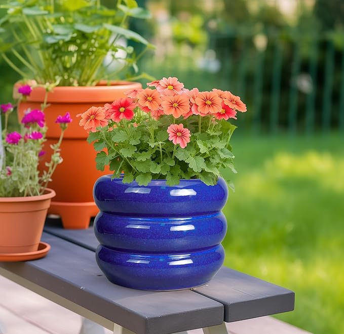 SQOWL 8 Inch Plant Pot - Ceramic Planter Indoor Plant Pot with Drainage Hole Outdoor Flower Pot Round Decorative Plant Pots for Kitchen Counter Desk Decor Blue
