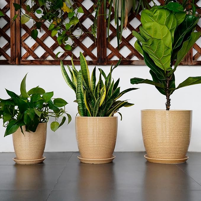 Ceramic Pot for Plants - 10 Inch Plant Pot with Drainage Hole and Saucer Outdoor Planter for Indoor Plants Round Flower Pot for Home Patio Garden Office Yellow