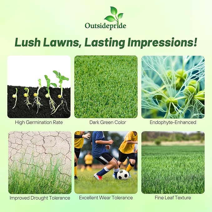 Outsidepride Fireball & Hattrick Rye Grass Seed Blend - 10 Lbs. Wear Tolerant, Fine Leaf Texture Perennial Rye Grass Seeds for Lawn, Sports Turf & More, OptiGrowth Coated for Better Establishment