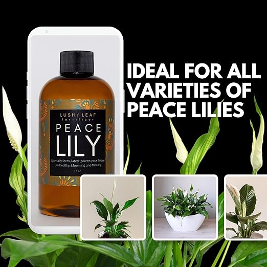 Lush Leaf | Plant Food (Peace Lily)