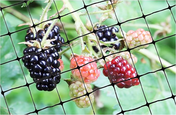 Bird-X Standard Bird Netting, Ideal for Gardens and Lightweight Applications, UV-Stabilized Mesh Netting with 3/4" Hole Opening, Easy to Install, 200' x 14'