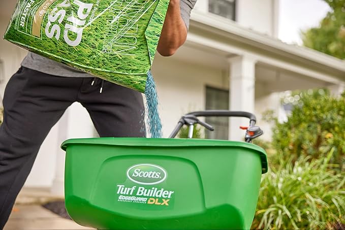 Scotts Turf Builder Rapid Grass Southern Gold Blend for Tall Fescue Lawns, Combination Seed and Fertilizer, 5.6 lbs.