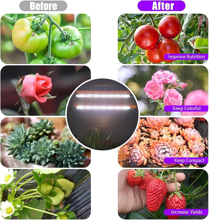 LED Grow Light Strips for Indoor Plants, 16‘’ Full Spectrum 240 LEDs with 4 Install Methods, 6/12/16H Timer, 10 Dimmable Levels, 3 Switch Modes for Seedling Succulent Sunlike Strip (2 Head 2 Pack)