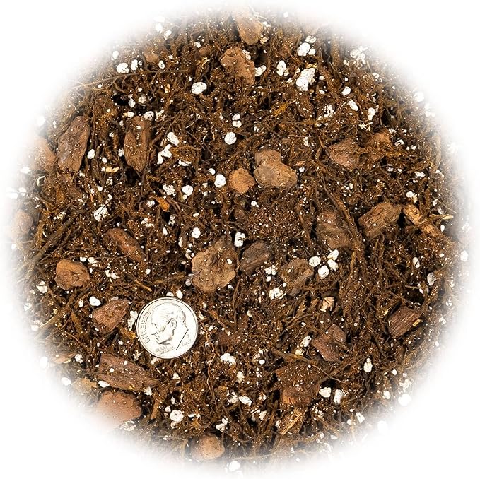 Premium Gardenera House Plant Potting Mix - 10 Quart - Fern + New Zealand Bark + Perlite | Great for Pothos, Spider Plants, Montsera, Philodendron, English Ivy (2 Bags of 5 Quart)