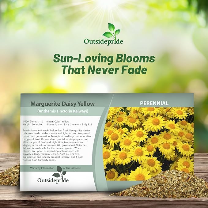Outsidepride Yellow Marguerite Daisy Seeds - 5000 Pcs. Perennial Drought-Tolerant & Pollinator-Friendly, Flower Seeds for Planting Vibrant Blooms for Gardens, Borders & Cut Flowers