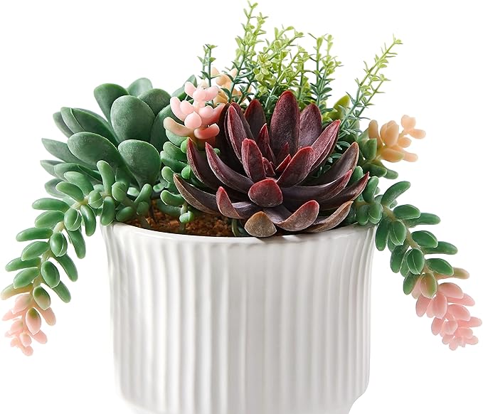 Artificial Succulent Plants, Faux Assorted Succulents Fake Plants in White Ceramic Pots for Home Decor, Bedroom, Office, Desk, Living Room, Set of 2