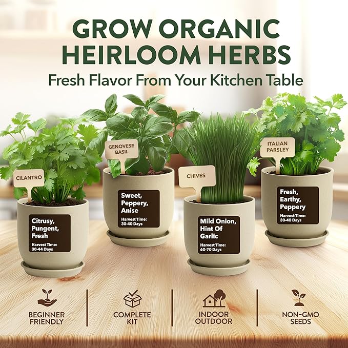 HOME GROWN Indoor Organic Herb Garden Kit – Unique Christmas Gift for Adults, Men, & Women - Grow 4 Herb Seeds for Kitchen Window Garden – Beginner DIY Hobby Gardening Gift for Plant Lovers, Mom & Dad