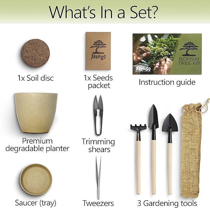 Bonsai Starter Kit – Growing Jacaranda Bonzai Tree from Seeds | Complete Indoor Tree Kit for Growing Plants with Tools & Planter – Gardening Gifts for Mother, Women & Men
