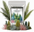 Gardenera Evergreen Fertilizer – All-Purpose Granular Plant Food for Outdoor Trees and Shrubs, Azaleas, Magnolias, Pines & Arborvitae – Slow-Release Formula (12 OZ)