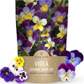 Viola - Johnny Jump-Up - Bulk 1 Ounce Pouch - 40,000 Flower Seeds for Planting - Viola Tricolor