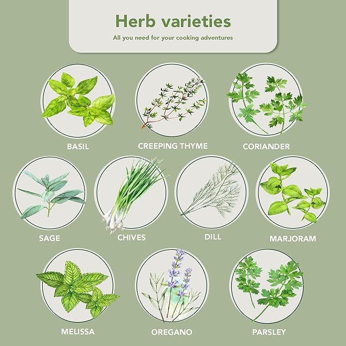 Garden Pack 10 Herb Indoor Window Herb Garden - Includes Pots, Trays, and Compressed Soil for Easy Indoor Herb Growing - Perfect Kitchen Herb Garden Starter Kit for Beginners and Gifts