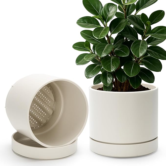 Phoenix Vine 8 Inch Planter Pot with Drainage Hole & Saucer, Deep Water Catch Tray, Straight Cylindrical Round Pot for Plants, Oatmeal, Pack of 2, 23-E-T-2
